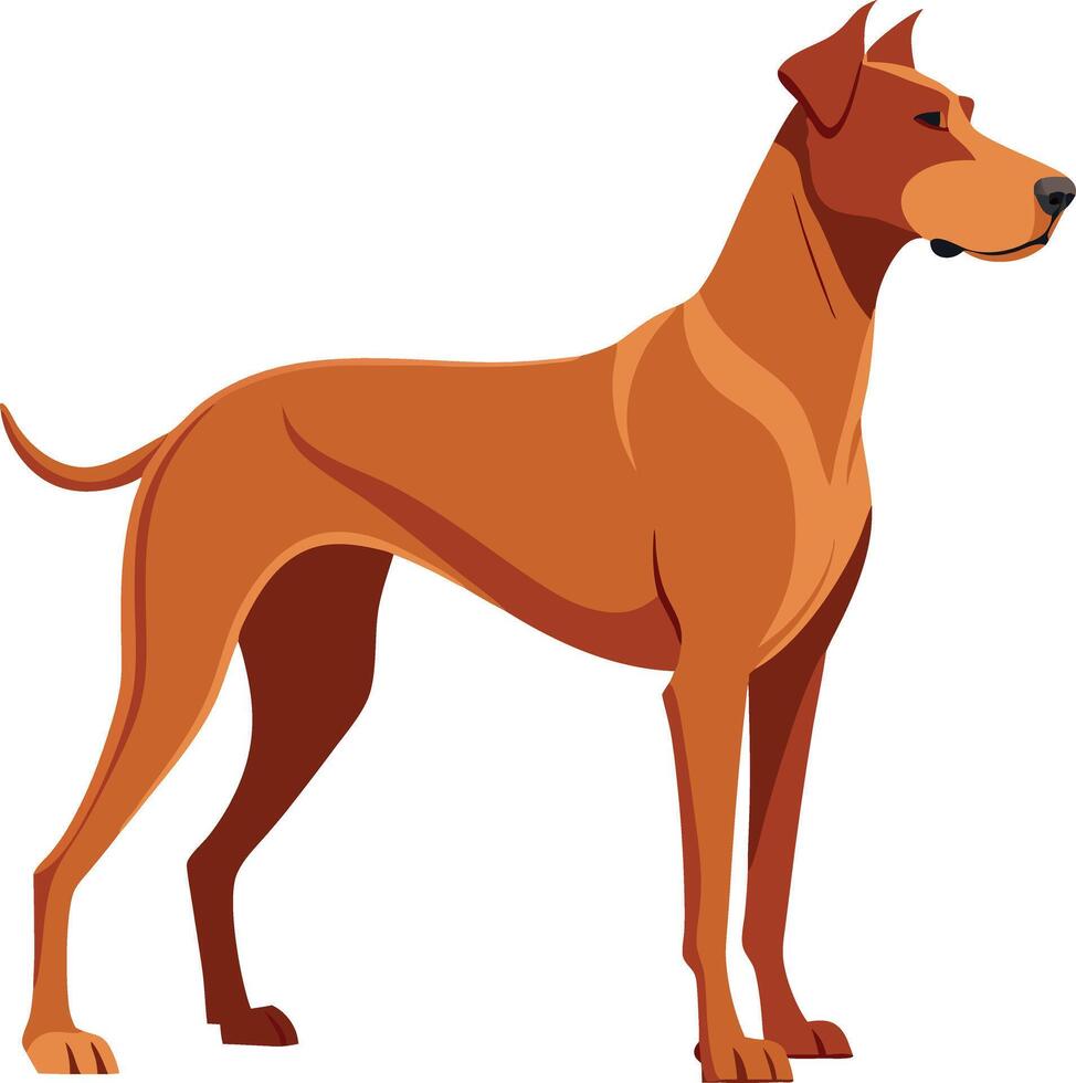 A large brown dog stands in front of a white background vector