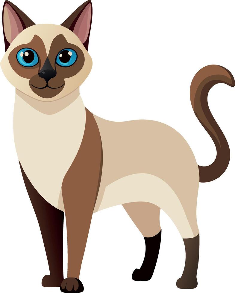 A cat with blue eyes stands on a white background vector