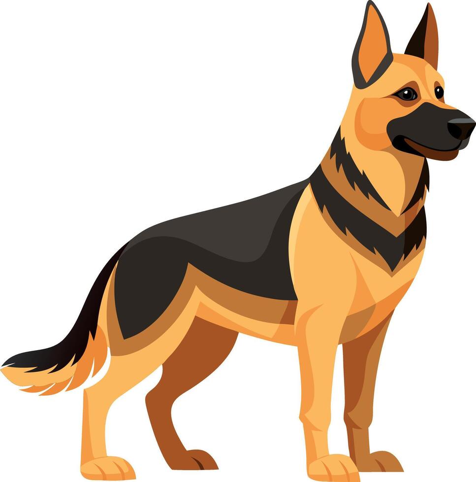 A large, black and tan German Shepherd stands in front of a white background vector