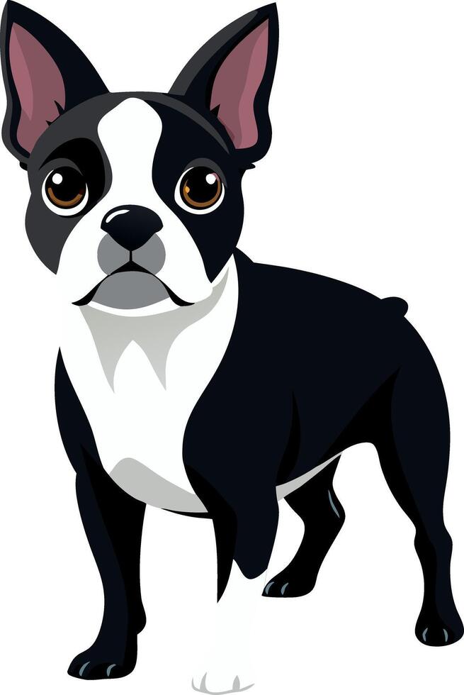 A black and white dog with a black nose vector