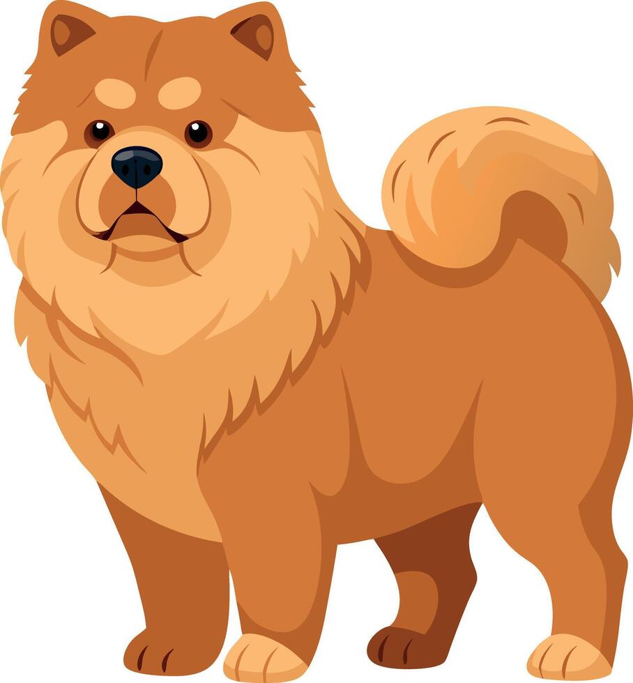 A cute dog with a fluffy tail and a big brown face vector