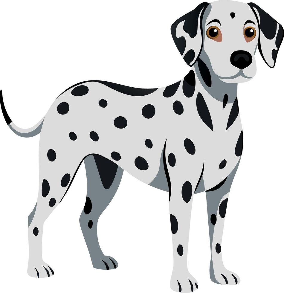 A white and black dog with a black nose and black eyes vector