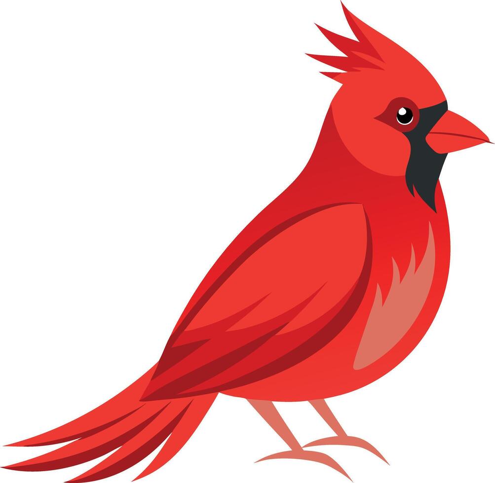 A red cardinal bird with a black beak and a black eye vector