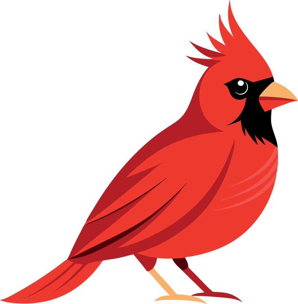 A red cardinal bird with a black beak and a black eye vector