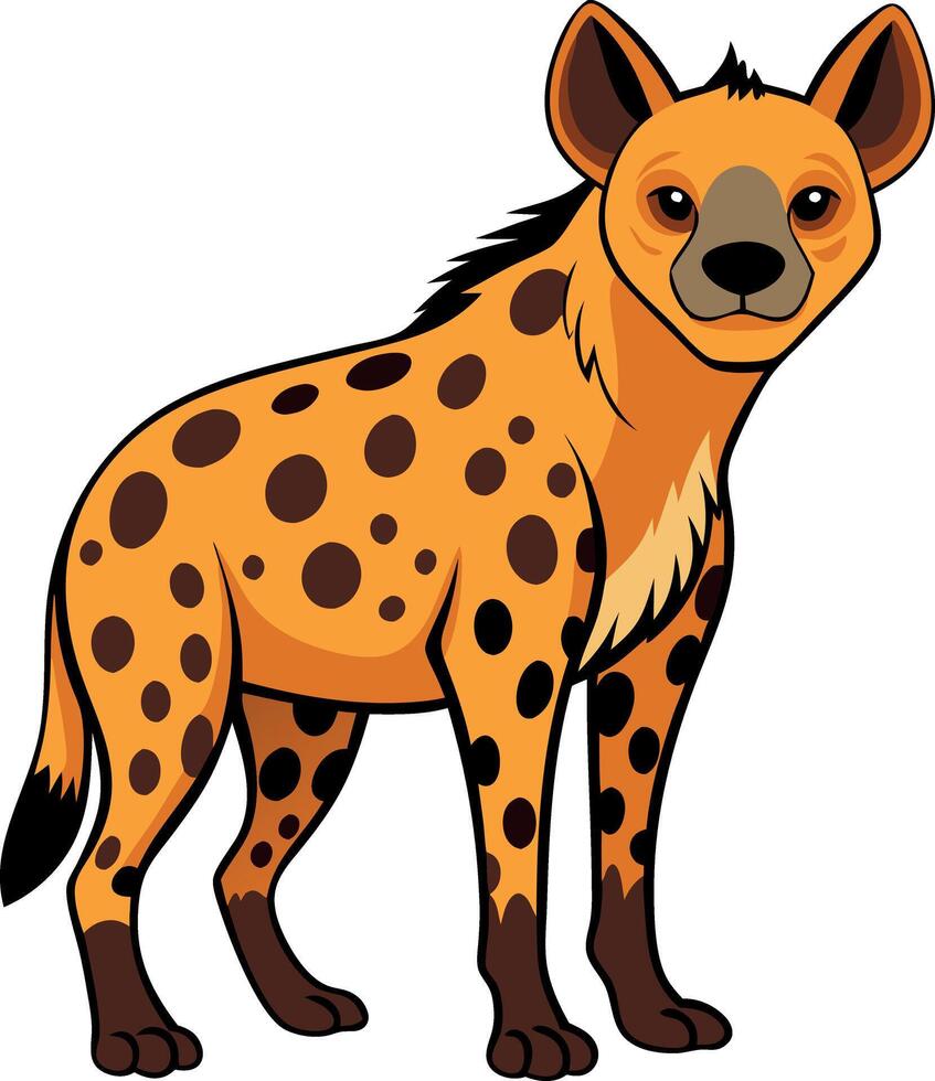 A cartoonish drawing of a spotted hyena standing on a white background vector