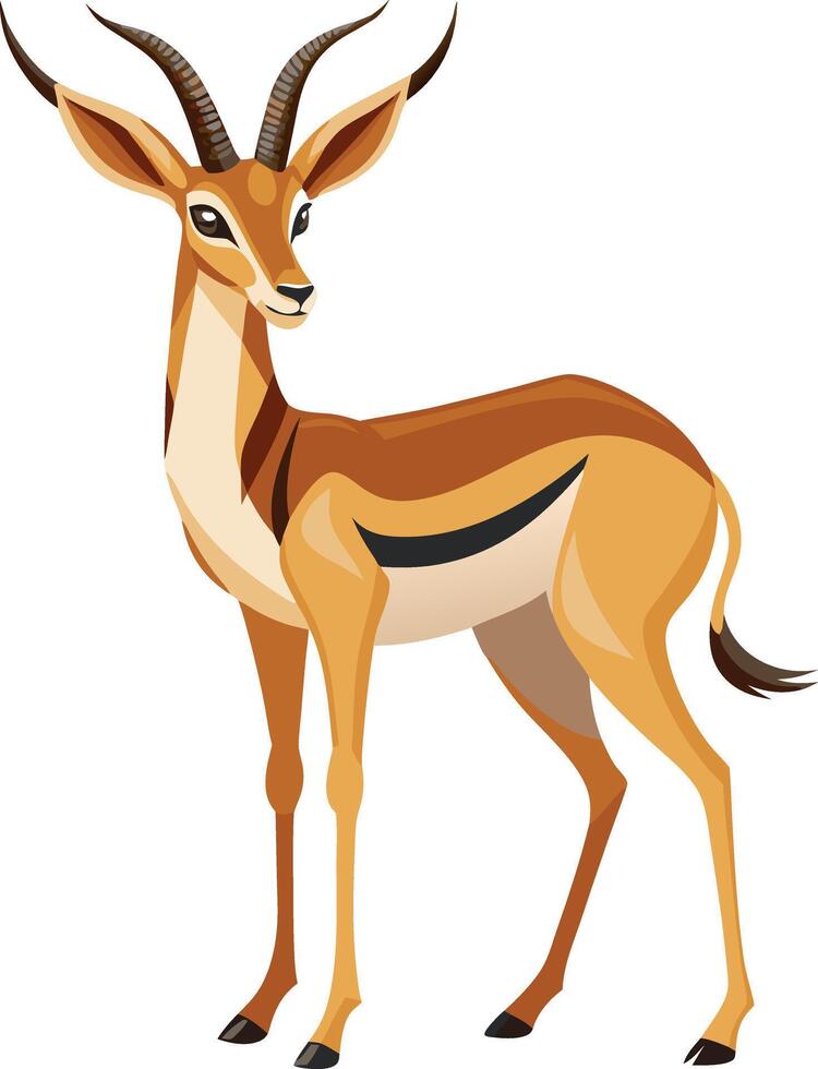 A giraffe with a long neck and horns stands on a white background vector