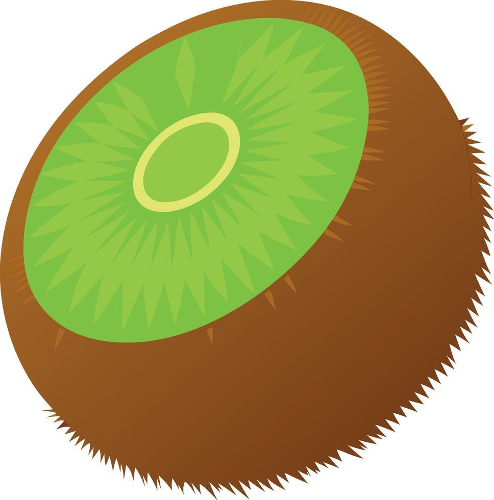 A green and brown kiwi fruit with a green stem vector