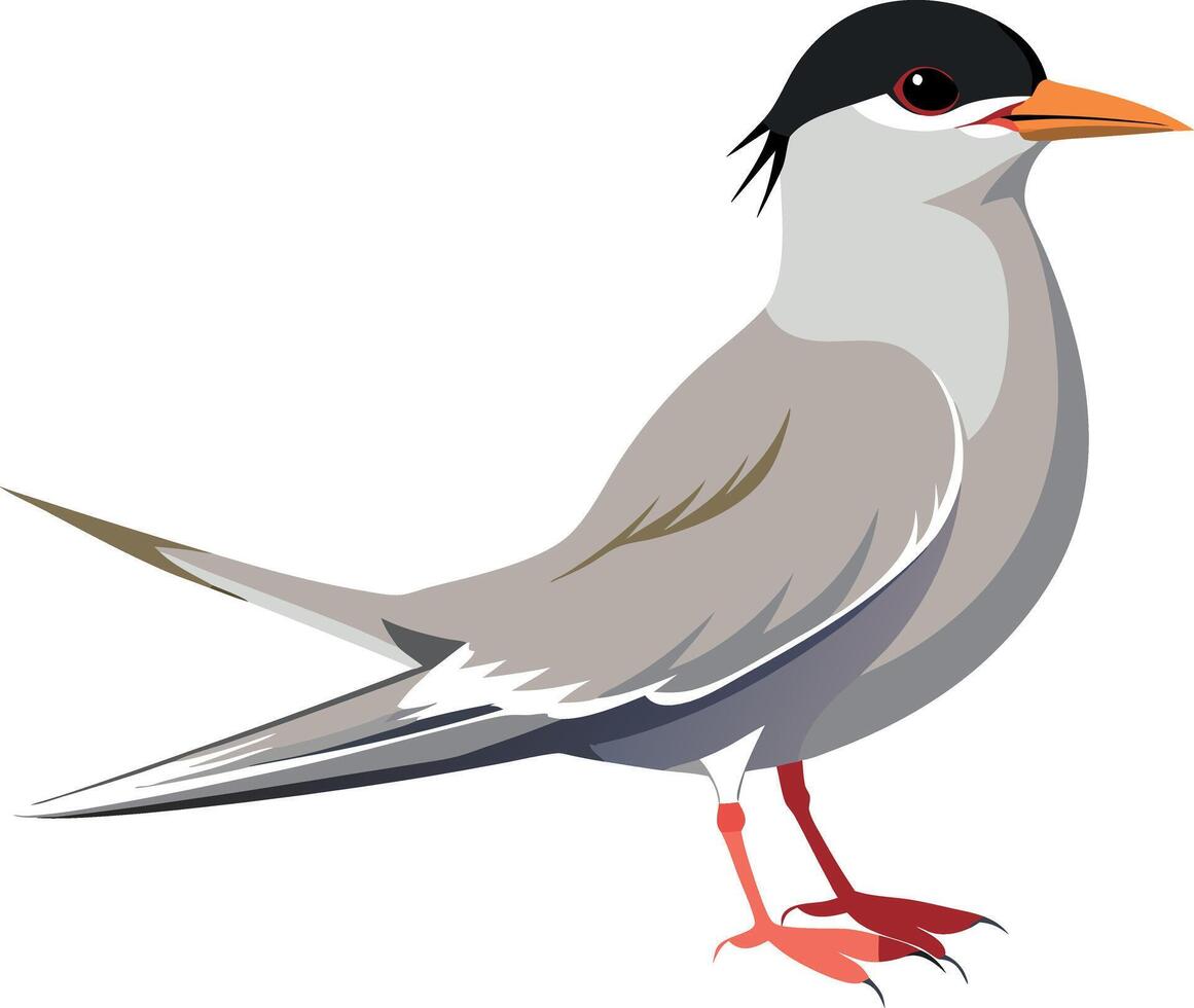 A bird with a black beak and a black cap on its head vector