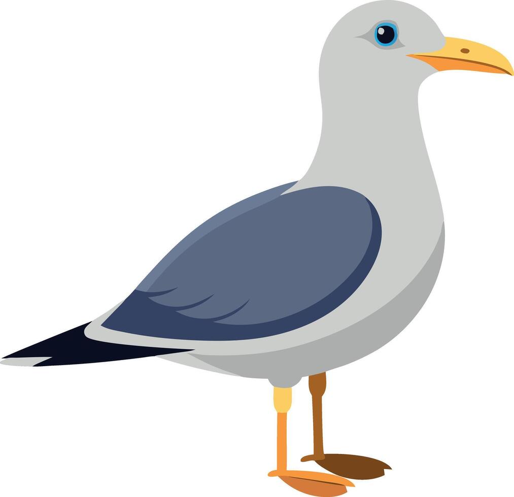 A seagull is standing on a white background vector