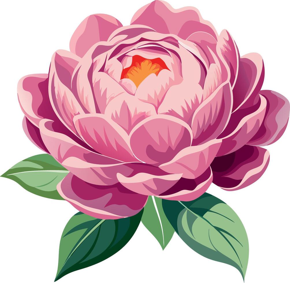 A beautiful pink flower with a yellow center vector