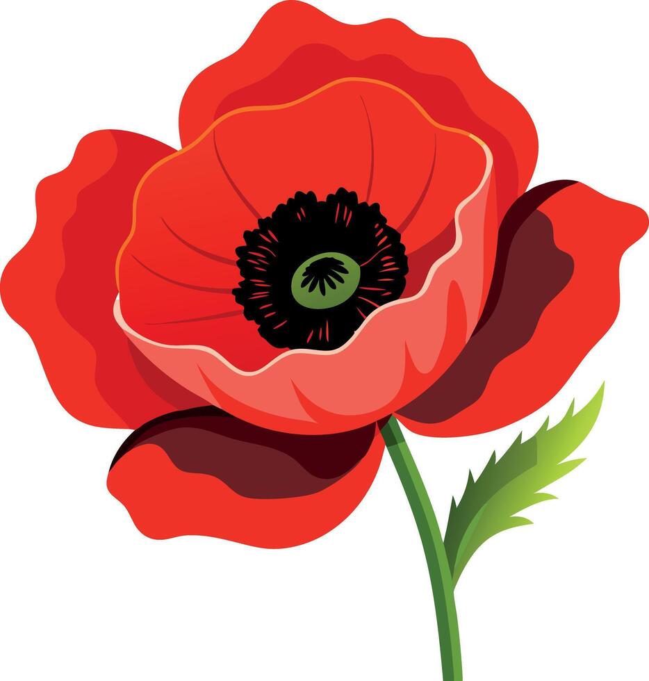A red poppy flower with a green stem vector