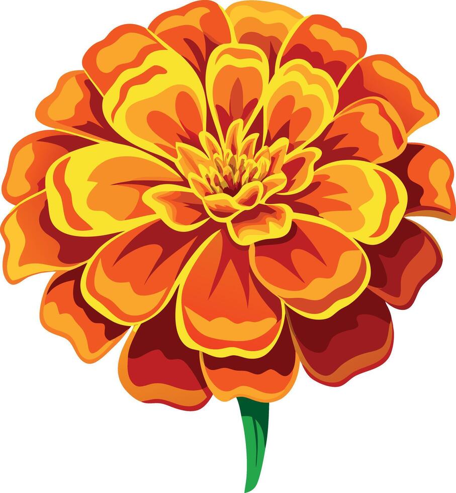 A large orange flower with a green stem vector