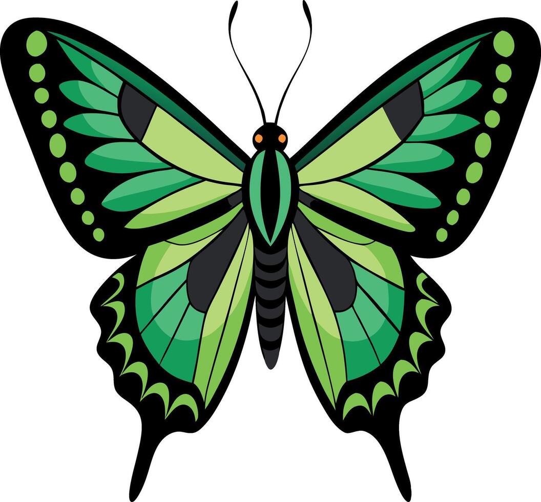A green butterfly with black spots on its wings vector