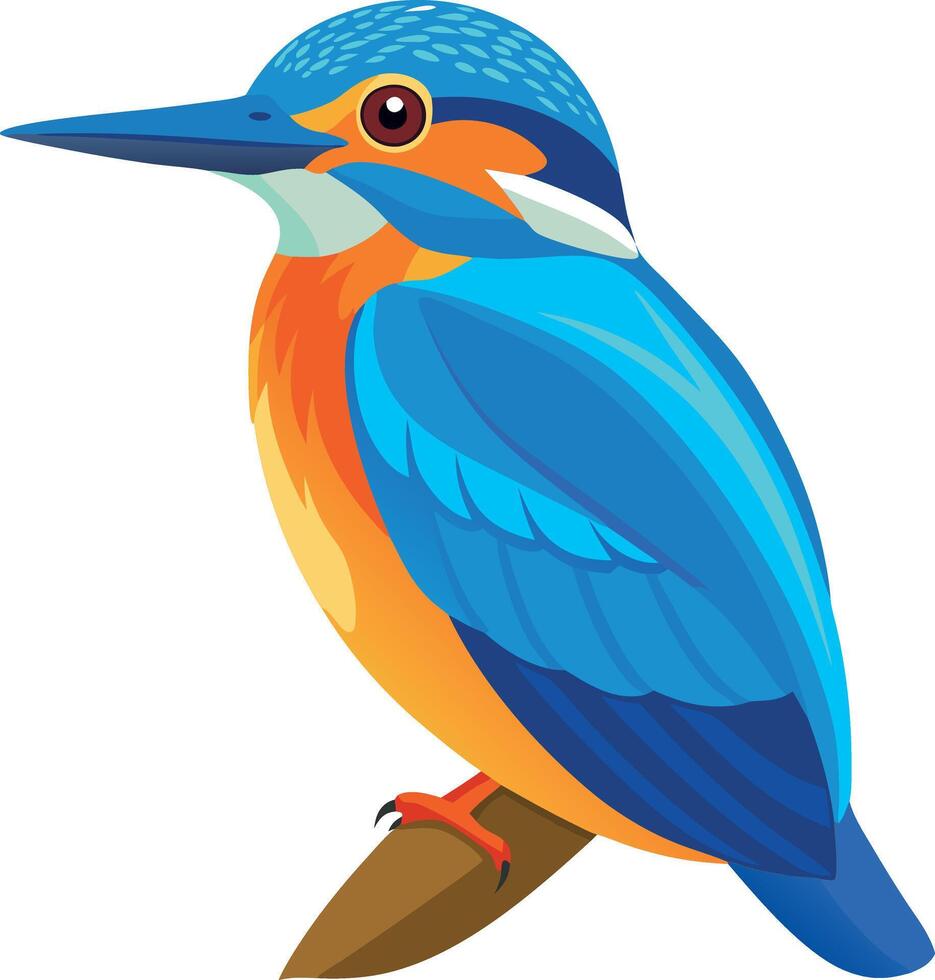 A blue and orange bird with a pointed beak vector