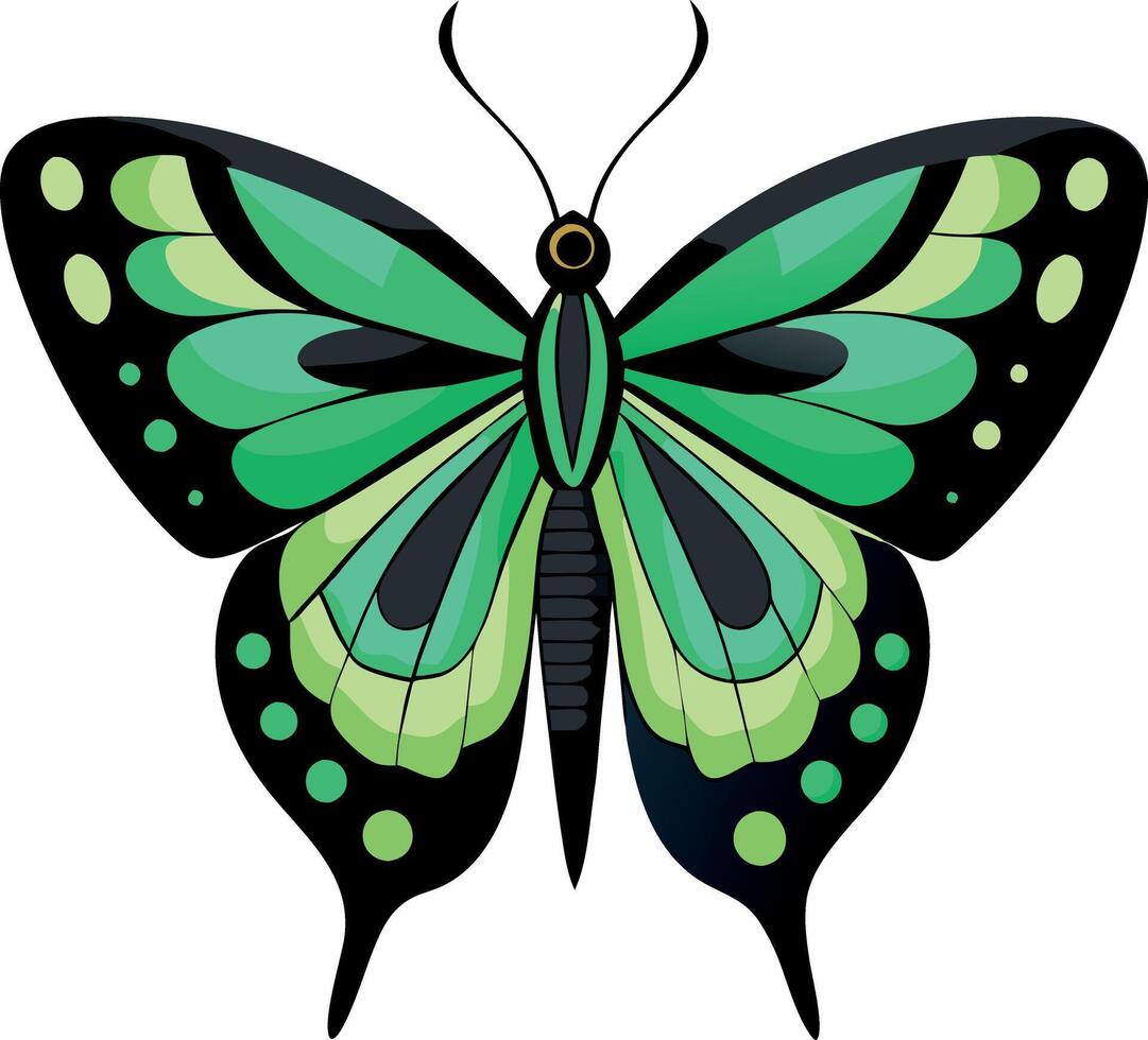 A green and black butterfly with white spots vector