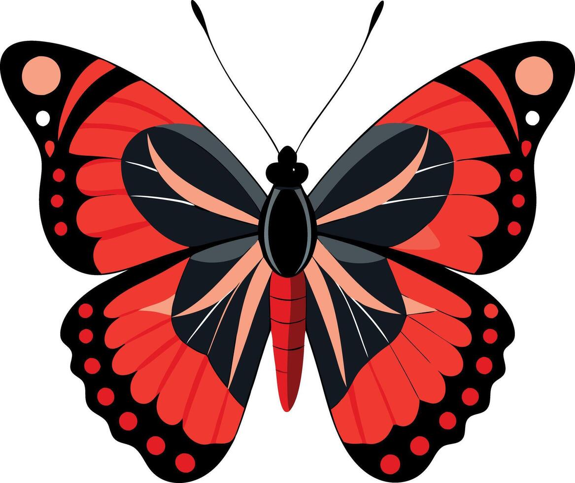 A red and black butterfly with a black head and red wings vector