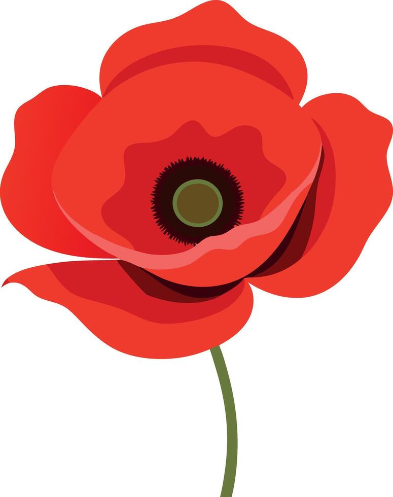A red flower with a white background vector