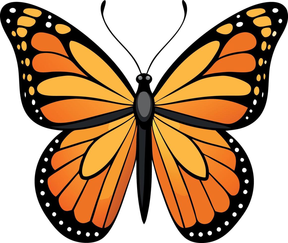 A butterfly with black and orange wings vector