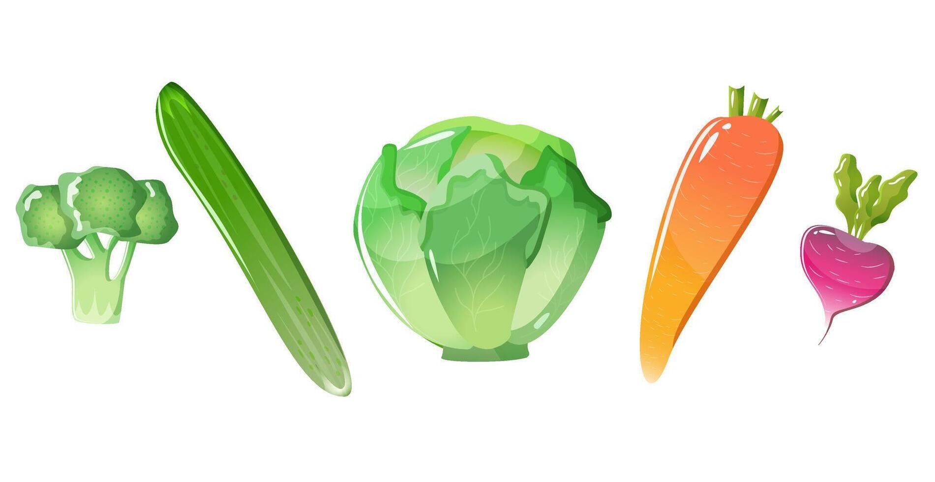 Vegetable set. illustrations isolated on white background cucumber, carrot. Healthy natural vegan food collection. Organic products, veggies for salad vector