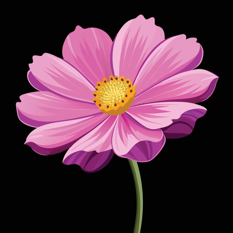 Pink flower on black background vector