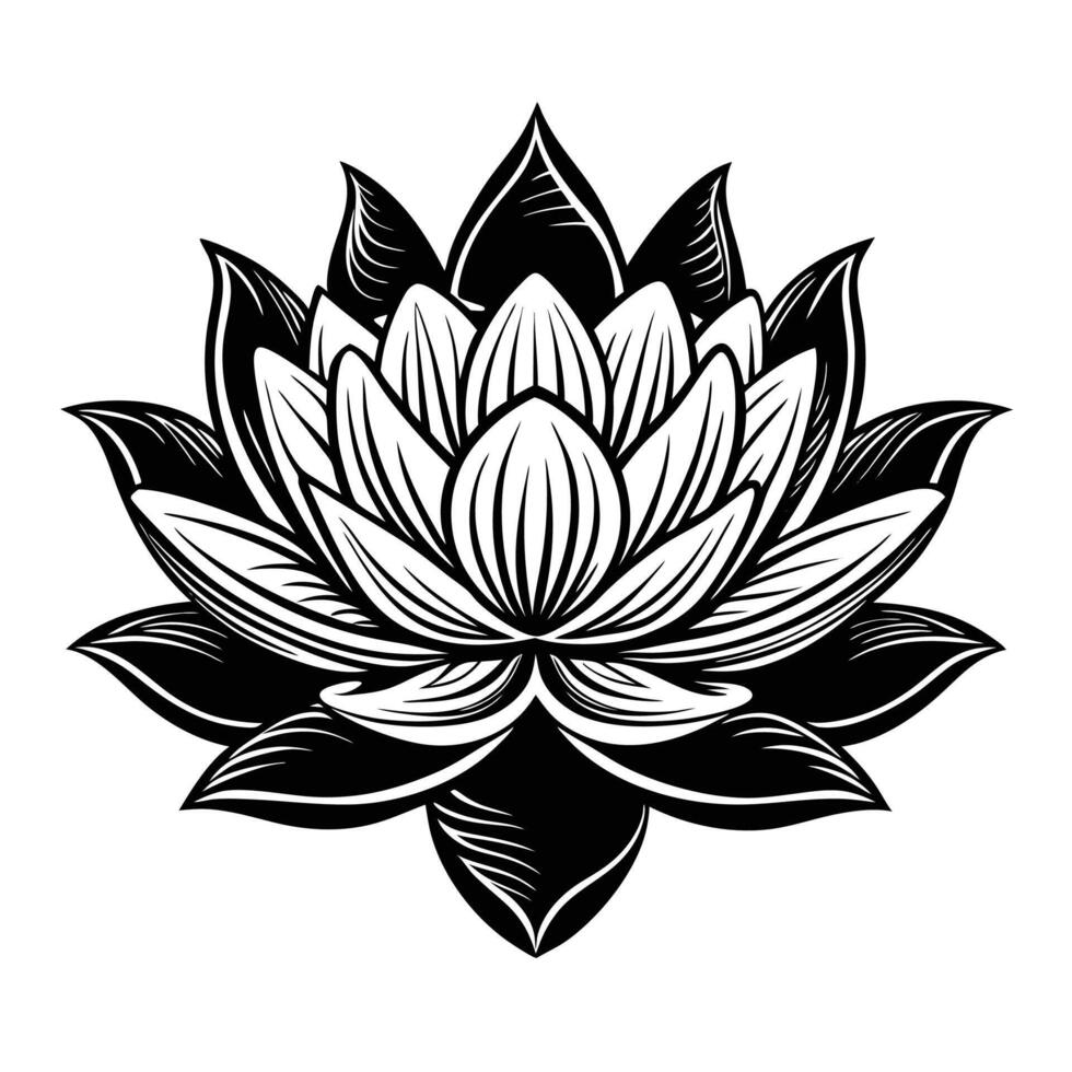 Lotus flower illustration vector