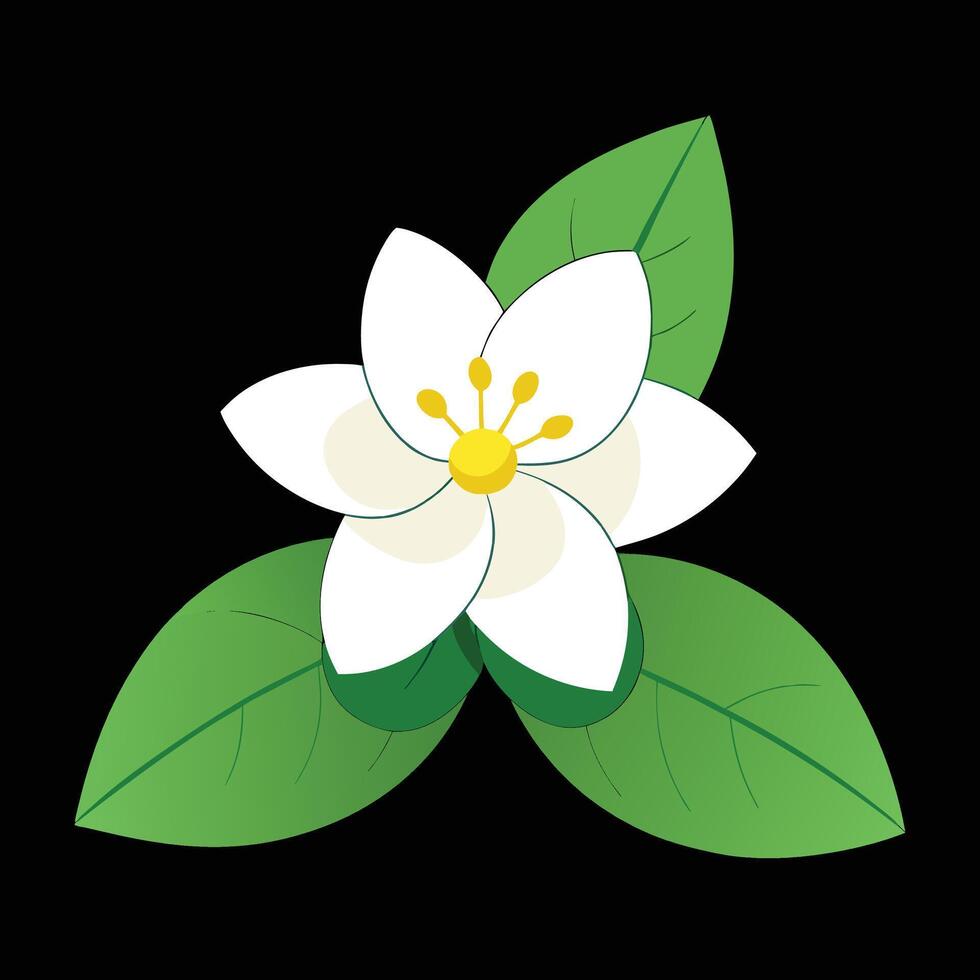 An illustration of a white flower with green leaves vector