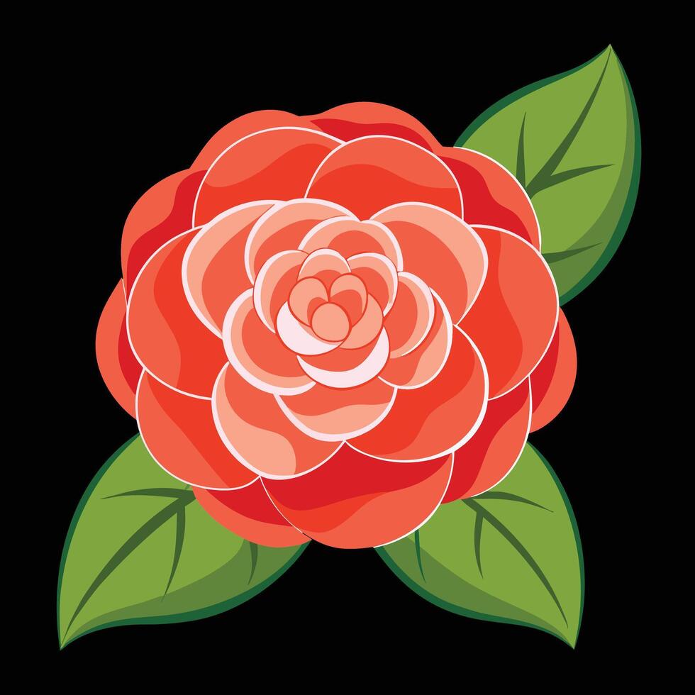 A red rose with green leaves on a black background vector