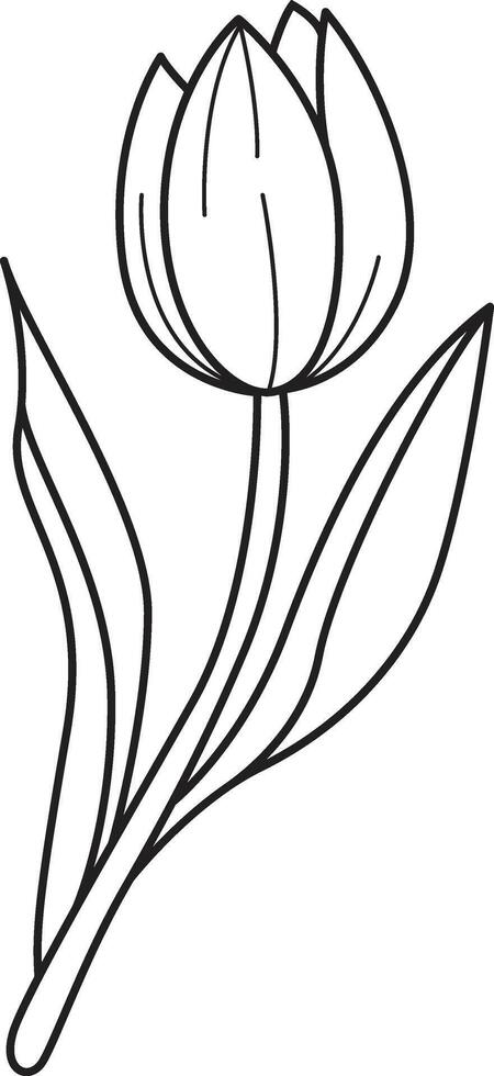 Tulip flower drawing clip art vector