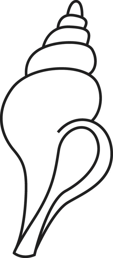 Seashell drawing clip art vector