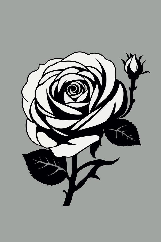 A black and white rose on a gray background vector
