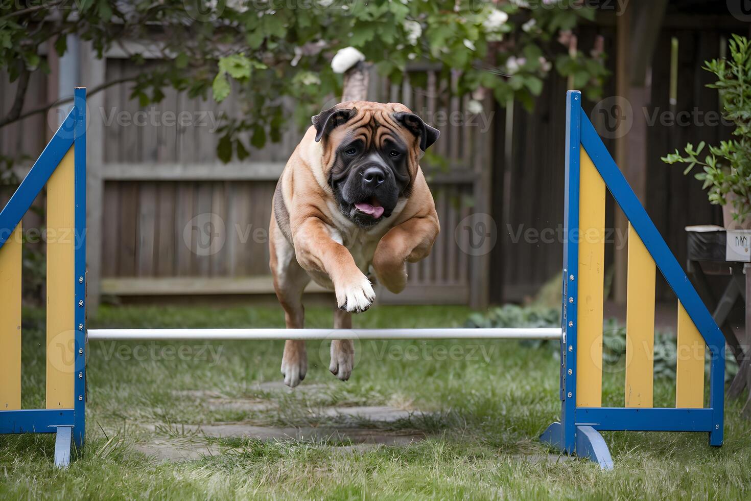 Mastiff leaping over a garden obstacle with strength and agility photo
