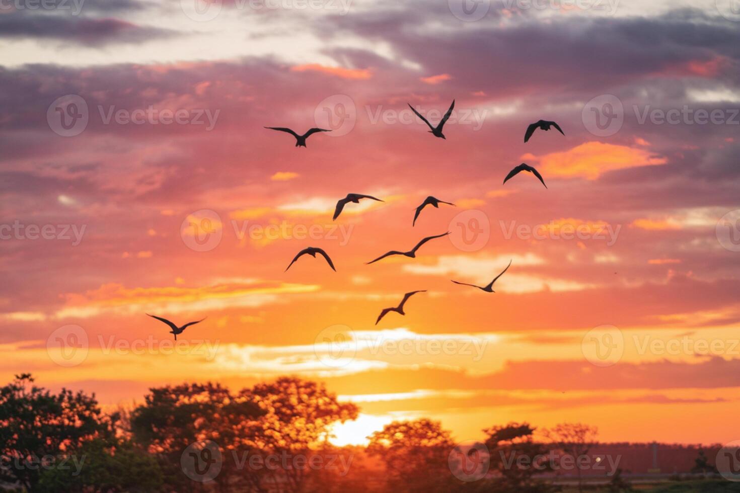 Birds soar gracefully against sunset, enhancing serene, romantic atmosphere photo