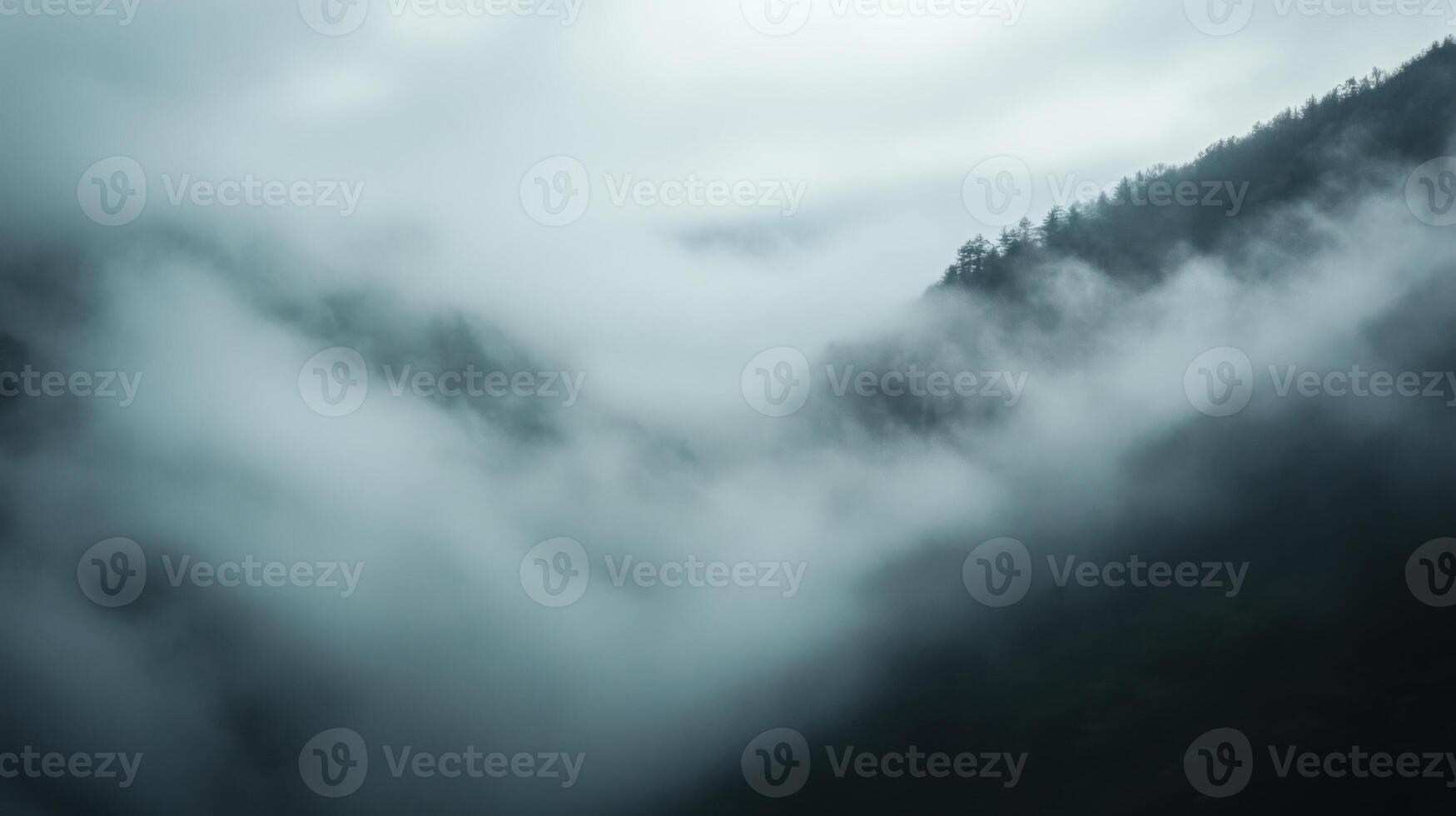 A foggy mountain range with trees in the background photo