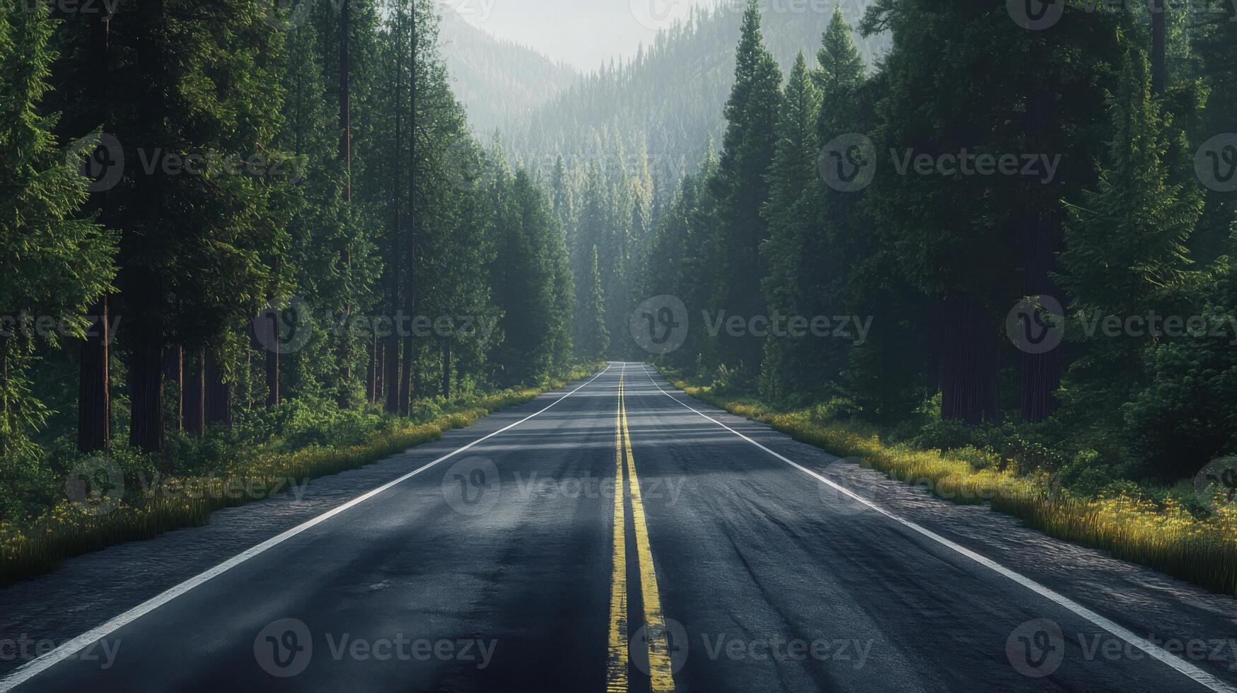 A road with trees on both sides and a yellow line photo