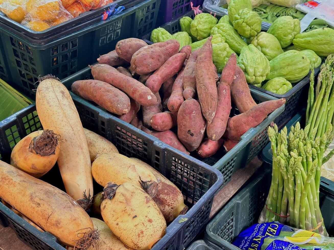 Yacon in the market photo