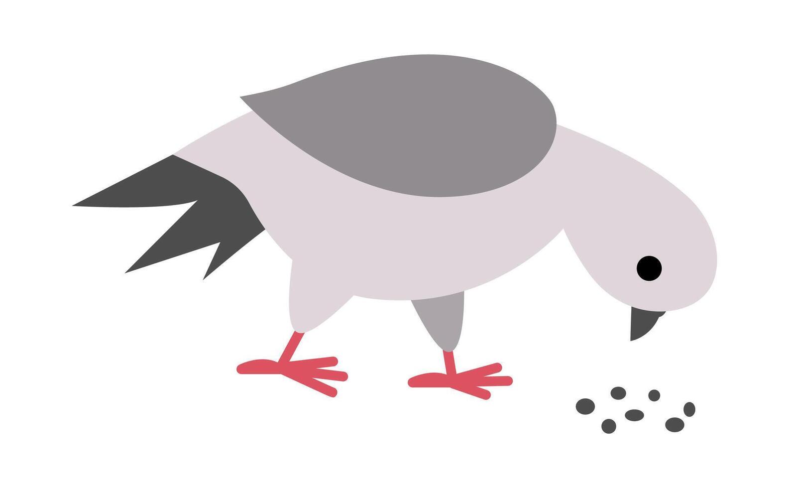 Pigeon pecking seeds. City bird illustration. Cute character icon isolated on white background. French symbol picture vector
