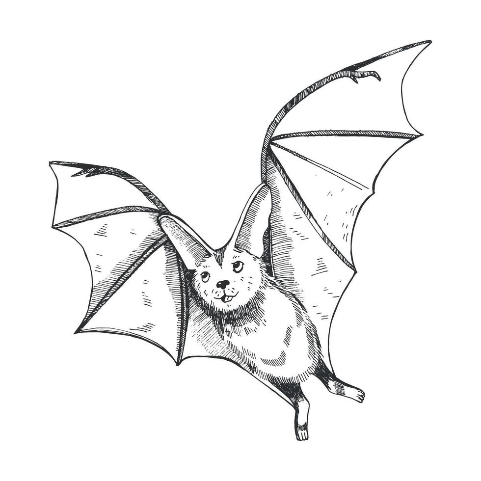 Halloween illustration. Bat hand drawn with black liner and transferred to , isolated on white background. Suitable for printing on cards, Halloween invitations, design and scrapbooking vector