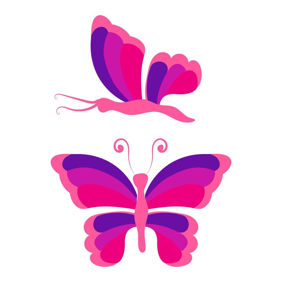 Butterfly with open wings and closed wings. illustration isolated on white background. vector