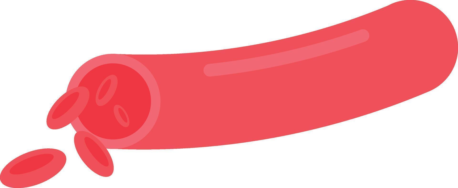 Blood Vessel with Red Blood Cells Symbol Icon vector