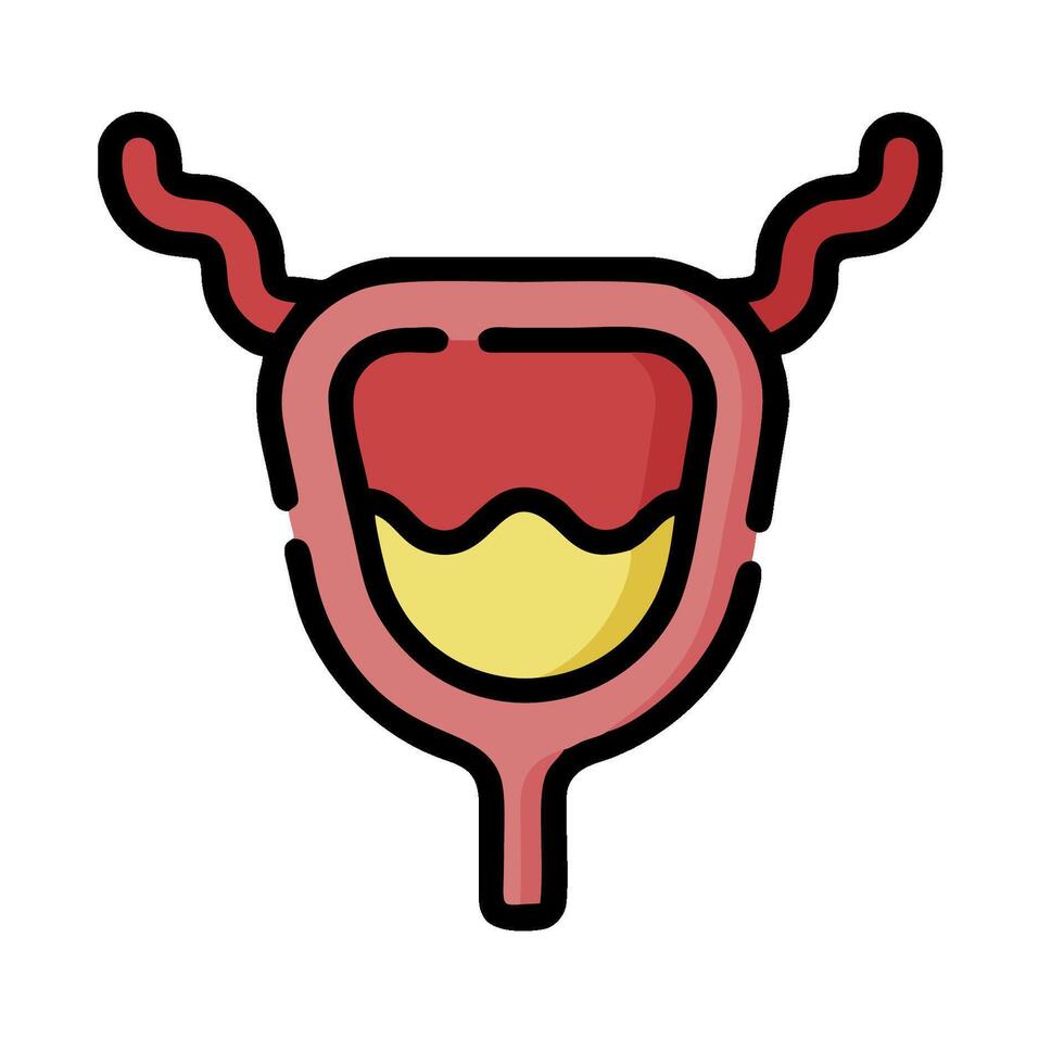 A cartoon illustration of a human stomach vector