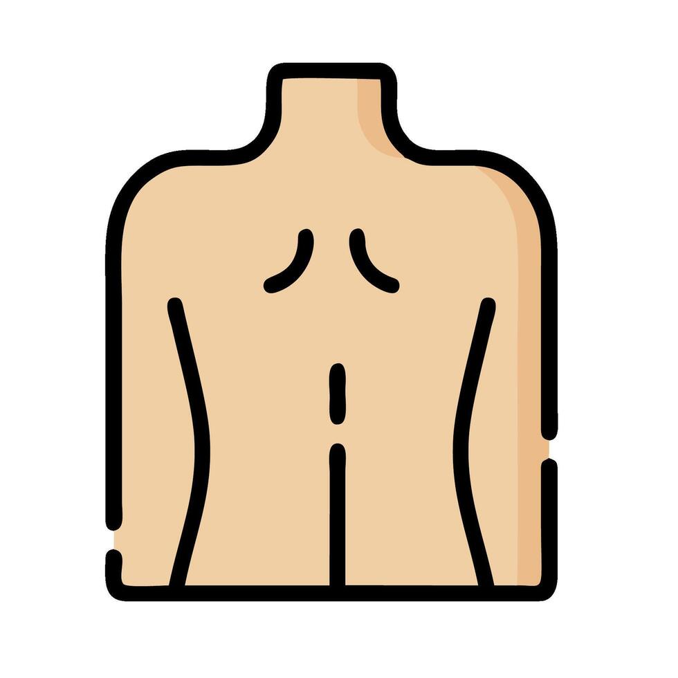 A man's torso with a chest and back vector