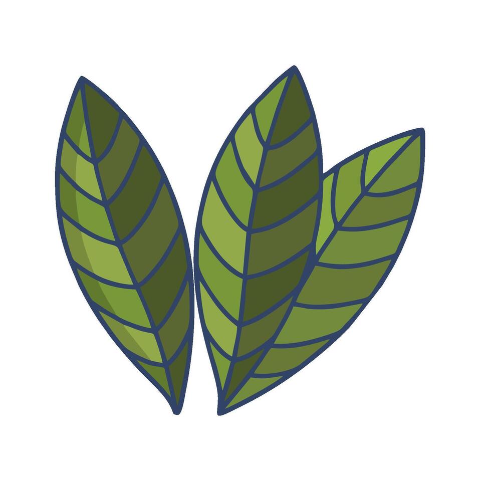 two green leaves on a white background vector