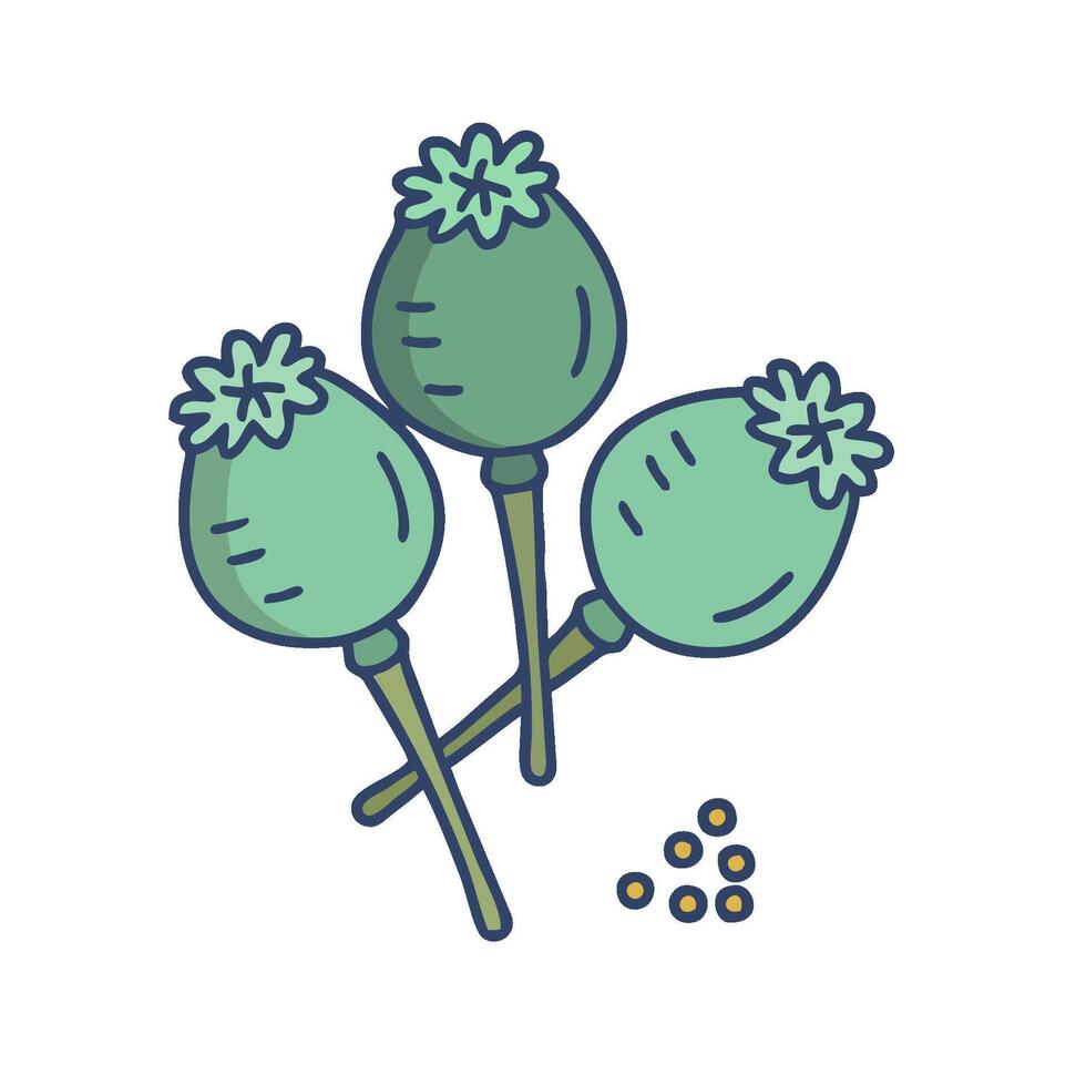 three green poppy flowers with seeds on a stick vector