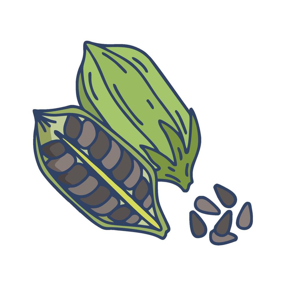 cocoa pod and beans icon illustration vector
