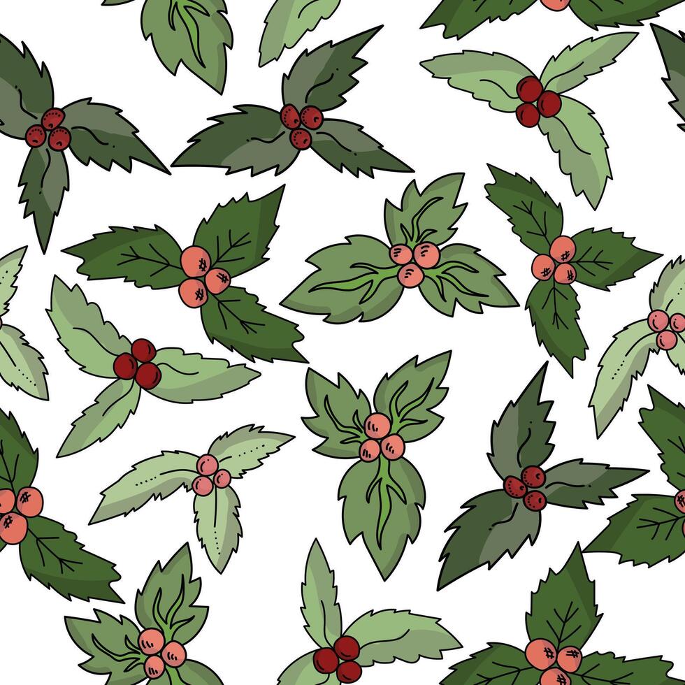 Seamless pattern of bunches of holly with leaves of various green shades, Christmas festive berries on a white background vector