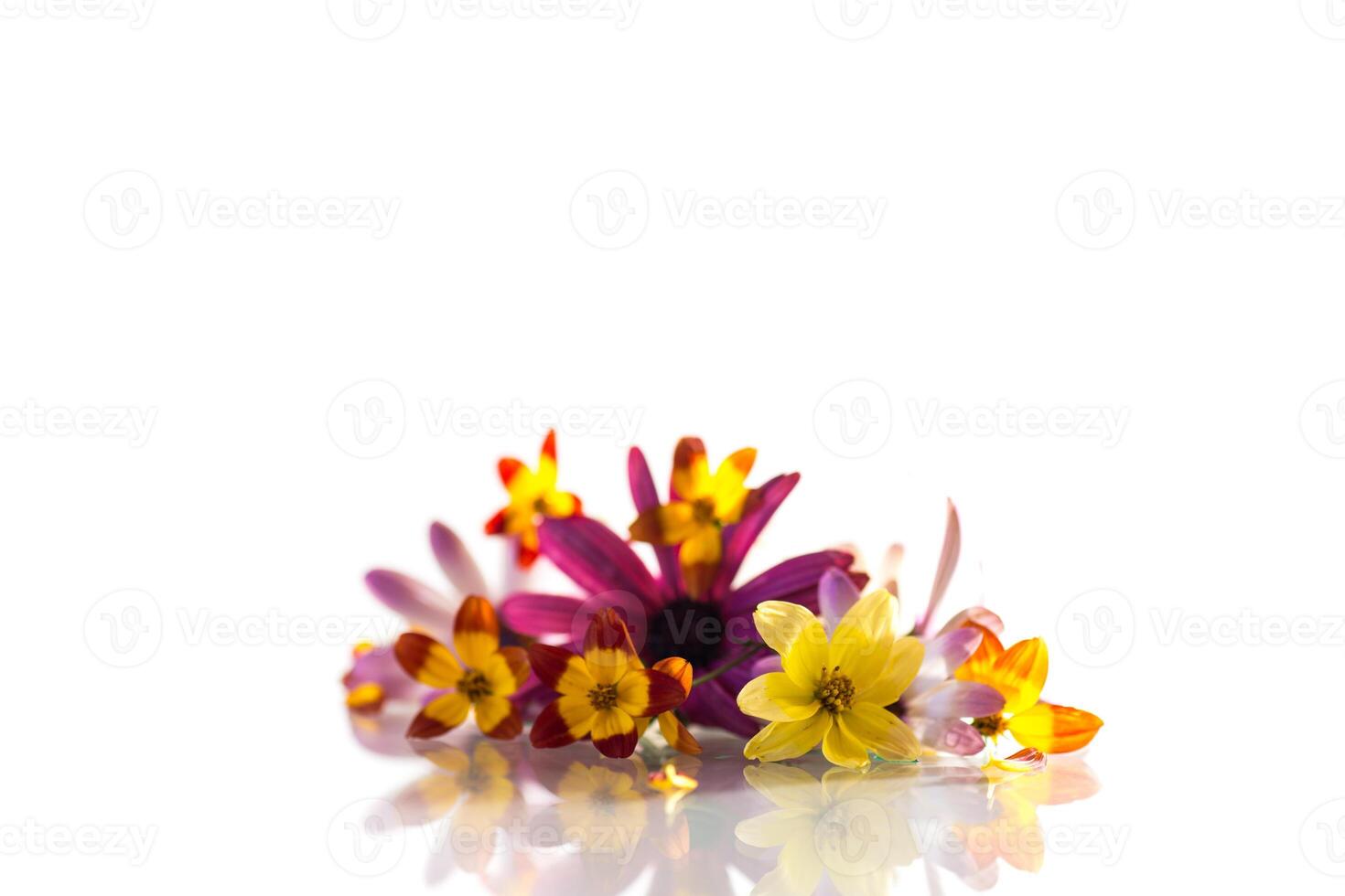 small bouquet of small multi-colored summer flowers photo