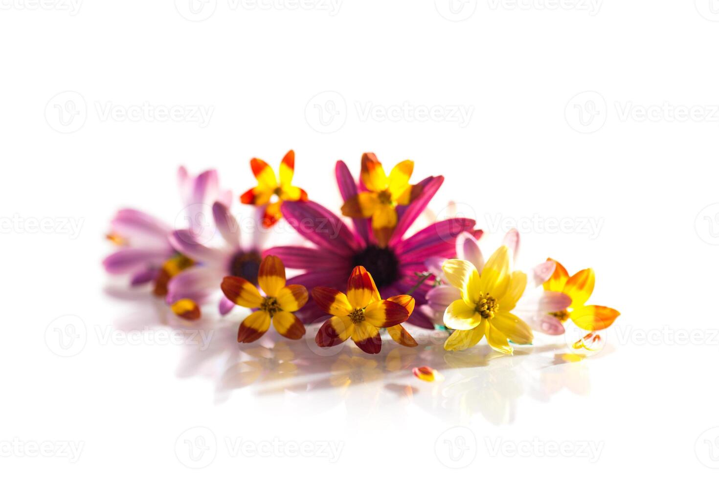 small bouquet of small multi-colored summer flowers photo