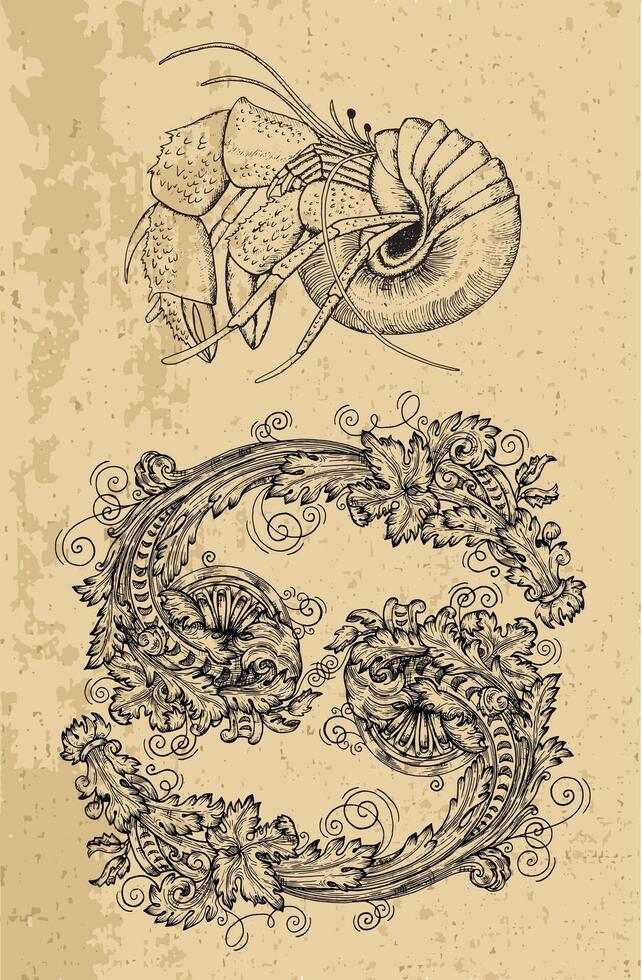 Cancer Zodiac Sign and fantasy mascot on texture. Collection of characters and astrological symbols in victorian style. Line art illustration for Horoscope, Esoteric and Mystic design vector