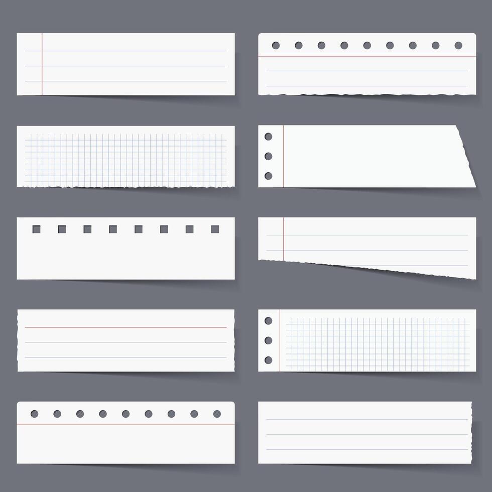 Blank horizontal pieces of paper with shadows, paper with lines and squares, torn paper vector