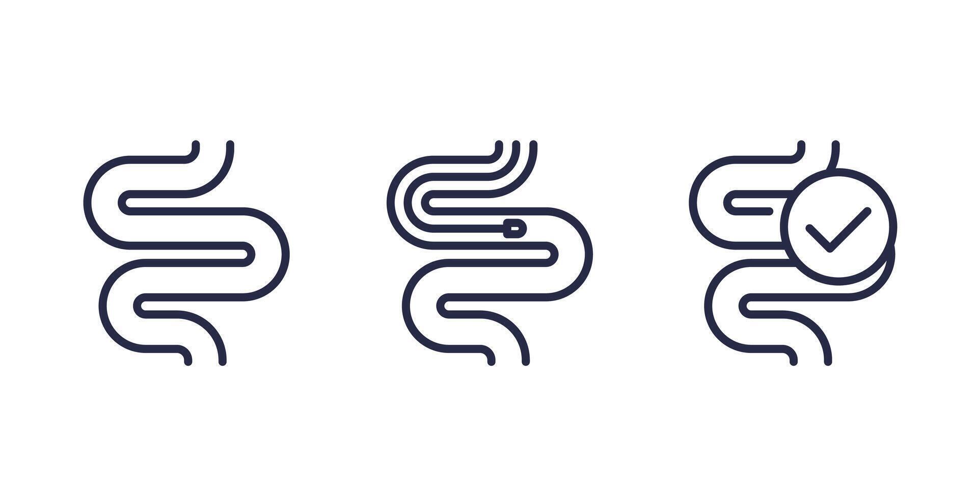 endoscopy line icons, intestine and endoscope vector